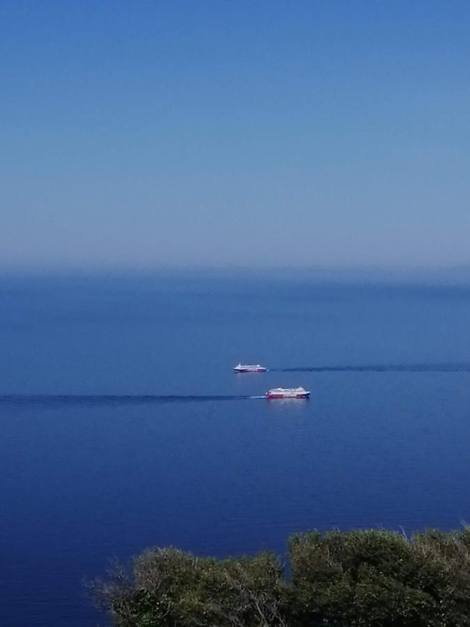 Appartamento Aegean Deep Blue Andros Ano Aprovato Esterno foto